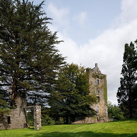 Dripsey Castle Estate Villa Cork Exterior photo
