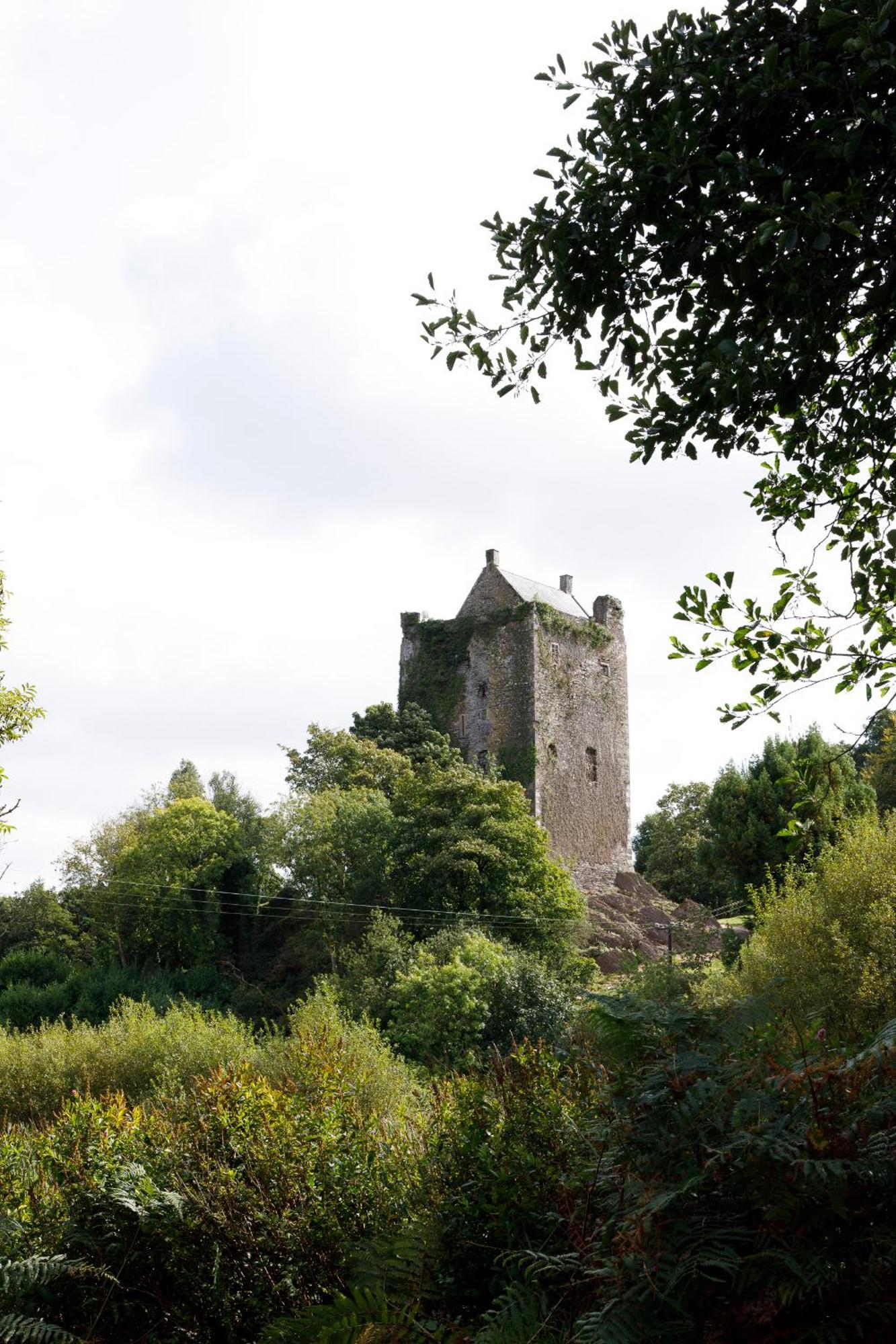 Dripsey Castle Estate Villa Cork Exterior photo