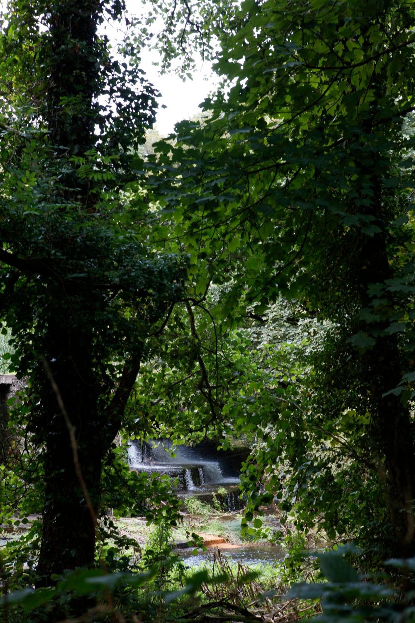 Dripsey Castle Estate Villa Cork Exterior photo