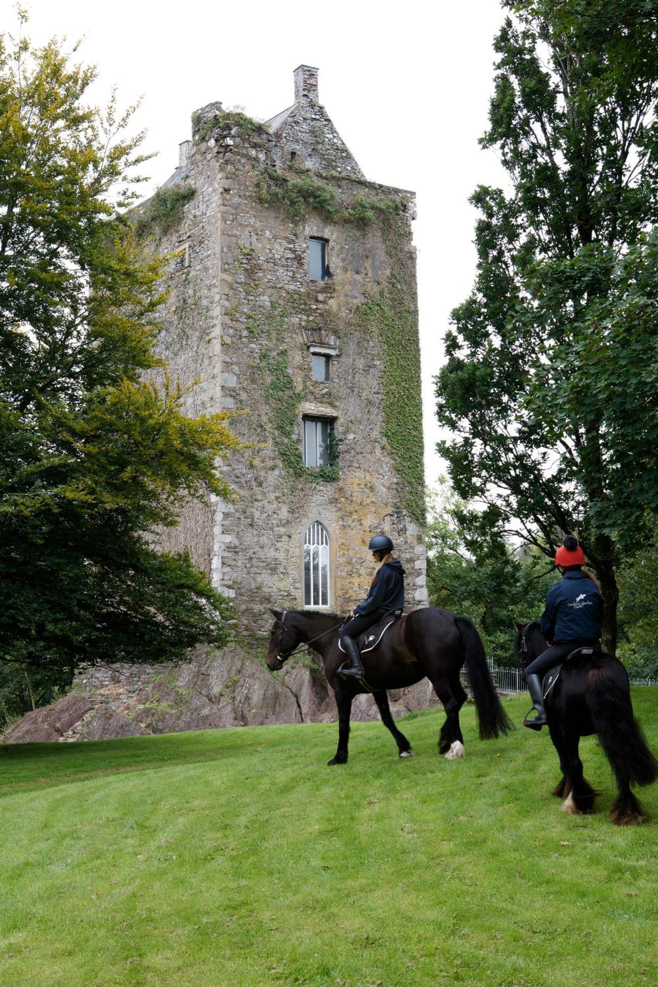 Dripsey Castle Estate Villa Cork Exterior photo