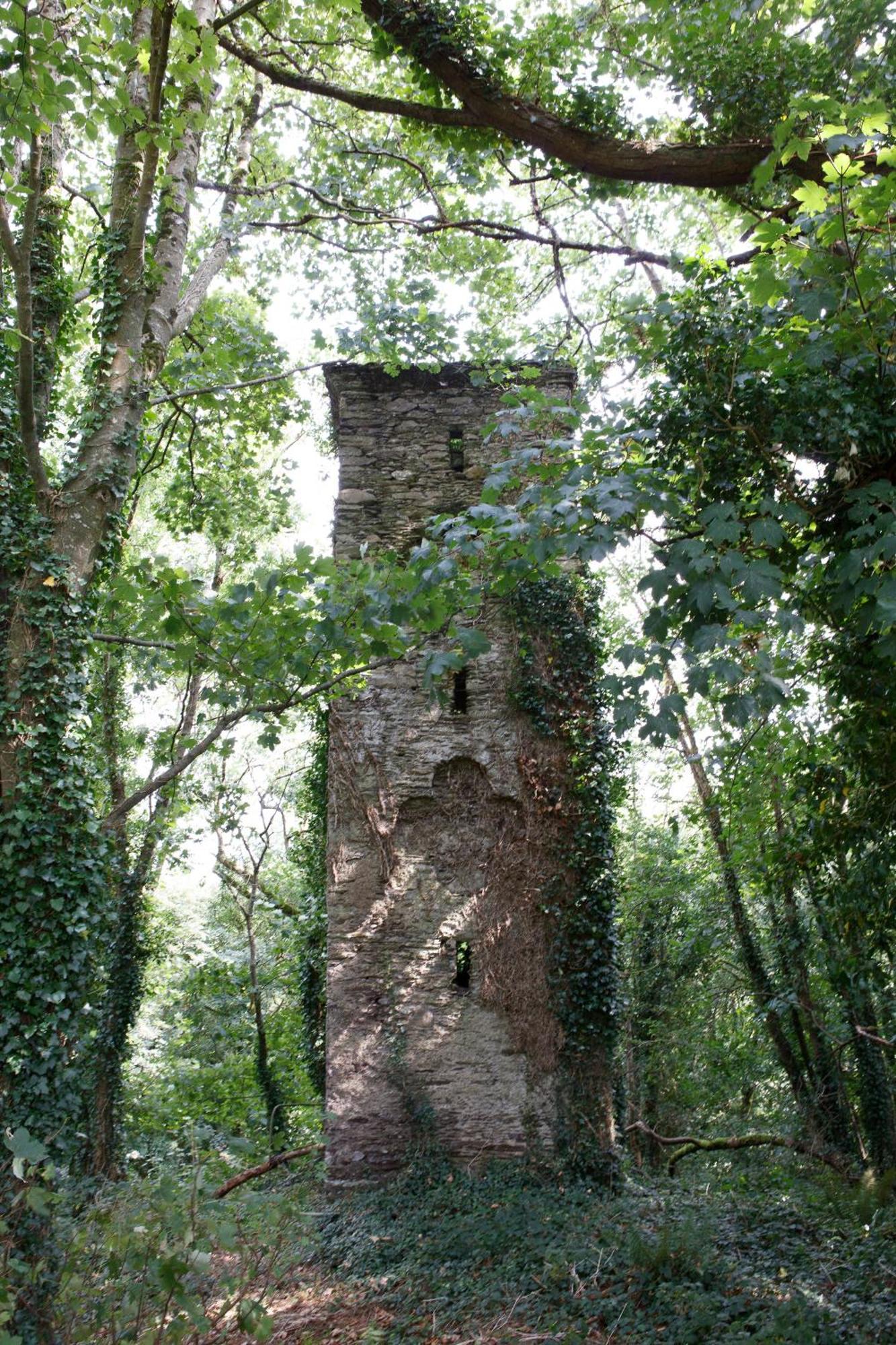 Dripsey Castle Estate Villa Cork Exterior photo